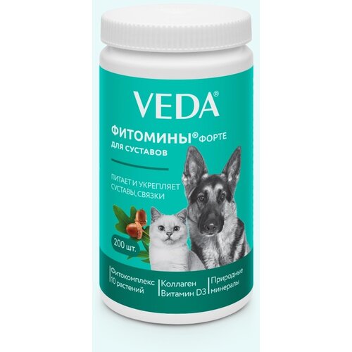 VEDA Fitomini Forte - Za zglobove kod pasa i mačaka 200 komada Cene