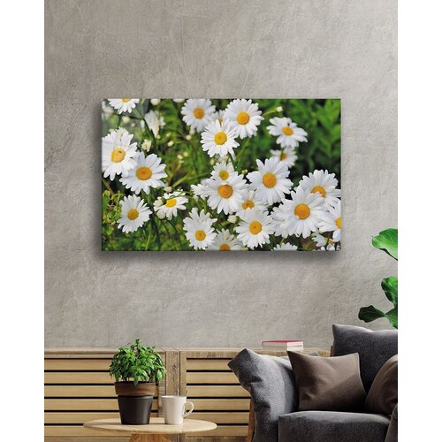 Wallity Slika 5192, 46x72 cm Cene