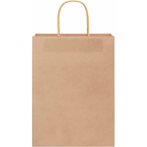  Papirnate vrećice 250 kom s ručkama smeđe 26x12x35 cm Slike