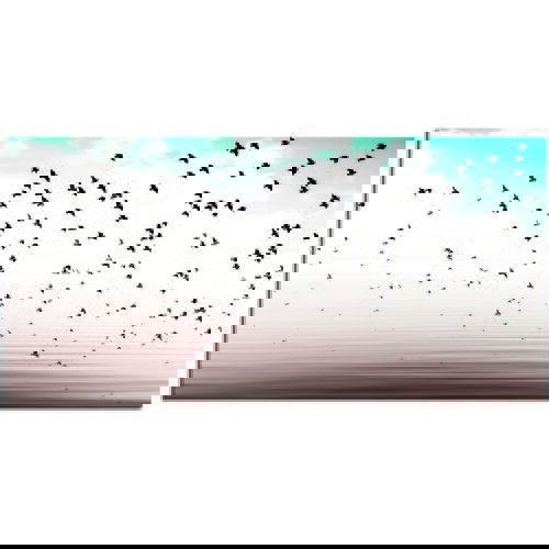 Pintdecor Zidni ukras Il volo Slike