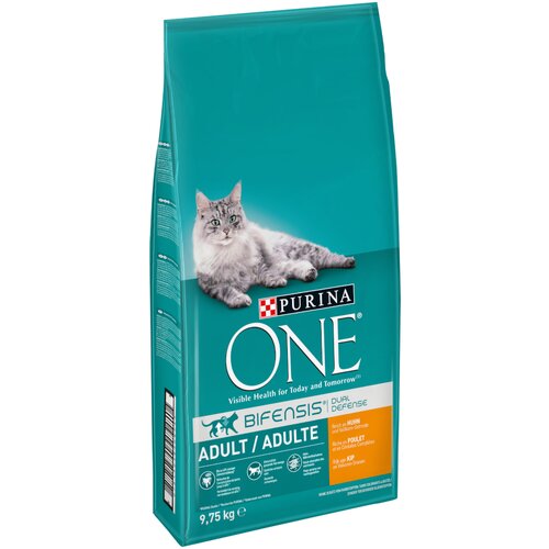 Purina ONE Adult piletina i cjelovite žitarice - 9,75 kg Cijene