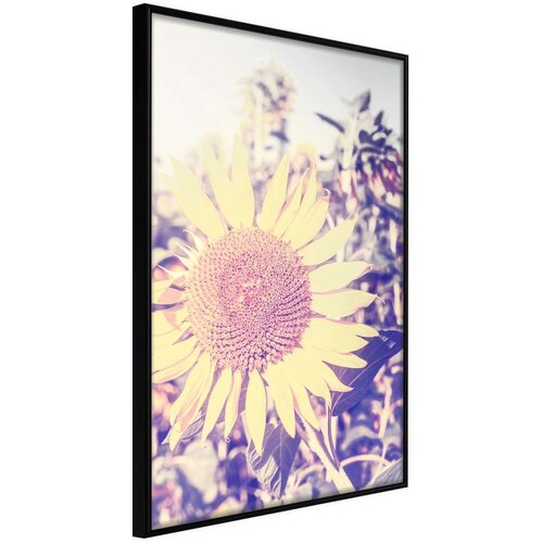  Poster - Facing the Sun 40x60 Slike