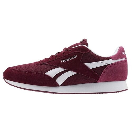 Reebok Nizke superge Royal CL Jog Rustic Bordo Cene