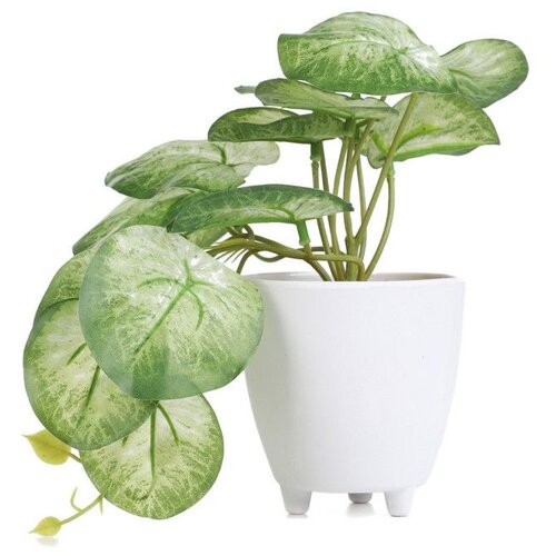  Cvet u saksiji SEMELA 18cm - Light green/White - HML Cene