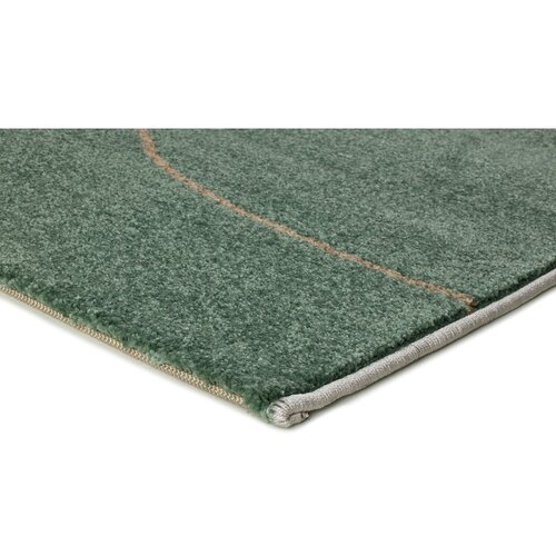 Universal Zeleni tepih 200x290 cm Edesa &amp;ndash; Slike