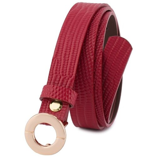 Beltimore Pasovi o1585 Bordo Cene