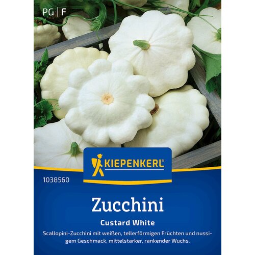 KIEPENKERL Bučke "Custard White" - 1 pkt. Cene