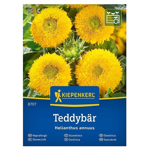 KIEPENKERL Cvetlična semena Sončnica Teddyb&auml;r (Helianthus annuus, Rumena) Cene