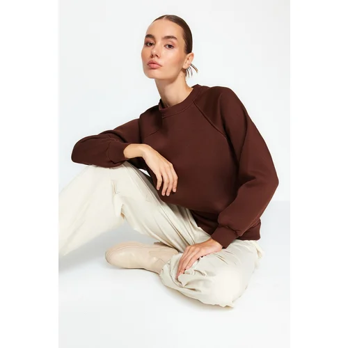 Trendyol Sweatshirt - Brown - Regular fit