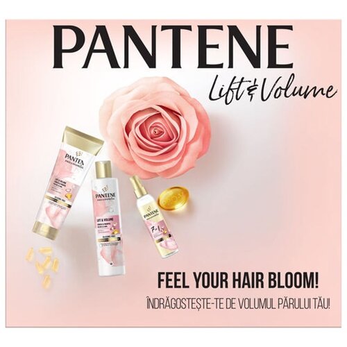 Pantene Pro-V Purelift poklon set (šampon 250ml, kondicioner 160ml i ulje 145ml) Cene