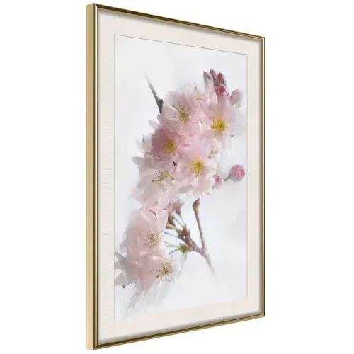  Poster - Scent of Spring 20x30