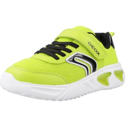 Geox Modne superge J ASSISTER BOY Zelena Slike
