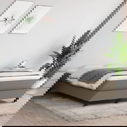 The Living Store Box spring postelja z vzmetnico taupe 120x200 cm blago - Box Spring Postelja, (21512313) Slike