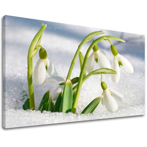  Slike na platnu cveće  (moderne slike na platnu) Cene