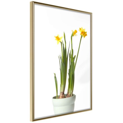  Poster - Piece of Nature IV 30x45 Slike