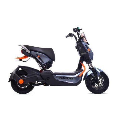 Capriolo E-BIKE E2 RX20 Sivi 292027-S-K Cene