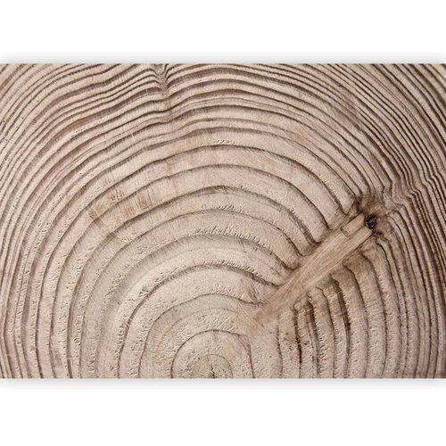  Foto tapeta - Wood grain 250x175 Premium Cene