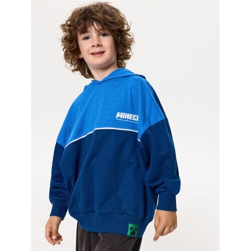 Sinsay Pamučna trenirka s printom na leđima Minecraft Slike