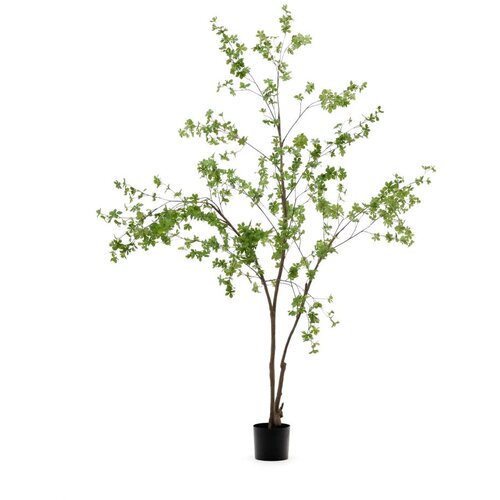 Kave Home Umetna rastlina (višina 214 cm) Enkianthus – Cene