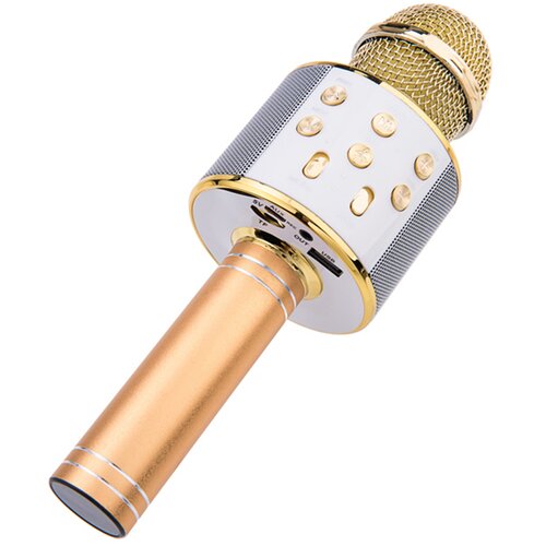 Oem TechKidz, Bluetooth Micro Karaoke s funkcijo snemanja in režo za kartico Micro-SD, Zlata, (5000232153) Cene