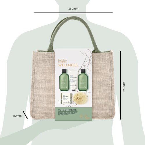 Baylis &amp;amp; Harding Wellness. Energise darilni set kozmetična torbica Ginger, Lime &amp;amp; Basil Leaf Slike