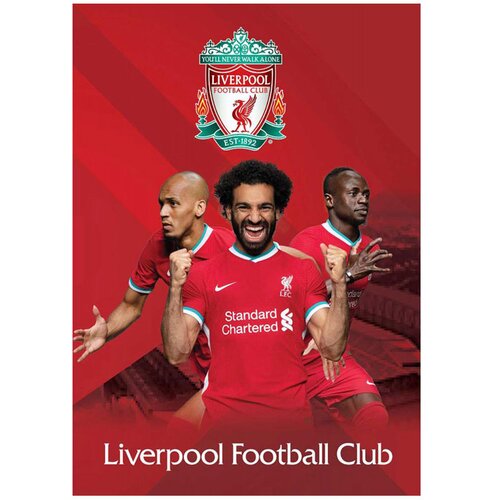 Simpo Zvezek A4 Liverpool, brezčrtni, 54 listov, sortirano, 1 kos Slike