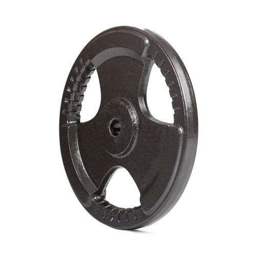Gymstick Železna disk utež 30mm, 1,25 kg, (20696558) Cene