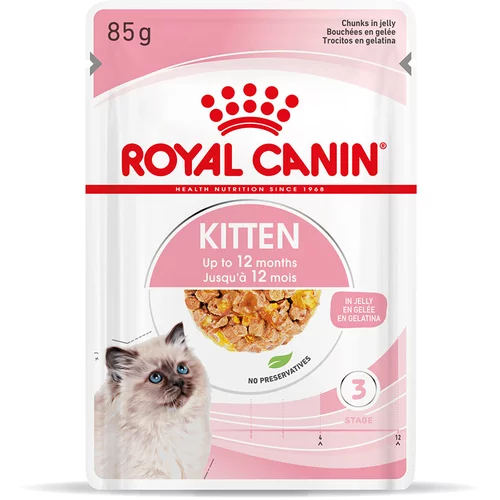 Royal Canin Kitten v želeju - 96 x 85 g