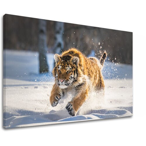  Slike na platnu ŽIVOTINJE_048-11 (moderne slike na platnu) Cene