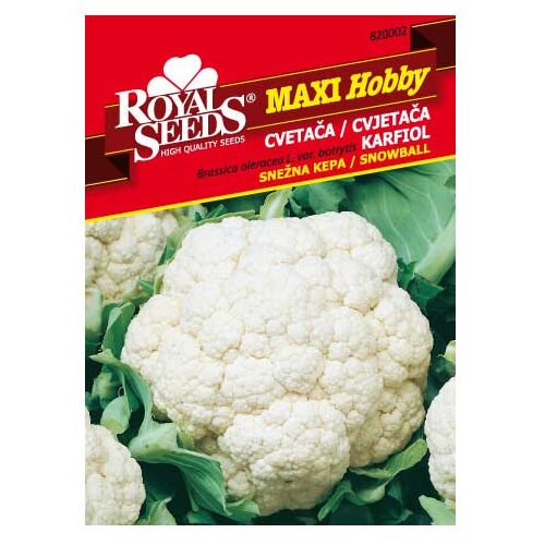 ROYAL SEEDS Sjeme povrća MAXI HOBBY 2 CVJETAČA PALLA DI NEVE Cijene