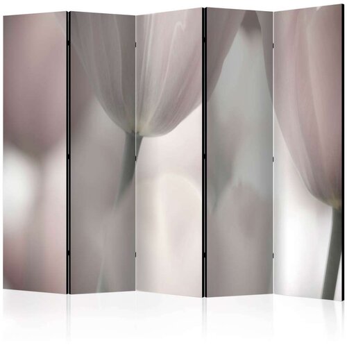  Paravan u 5 dijelova - Tulips fine art - black and white II [Room Dividers] 225x172 Slike