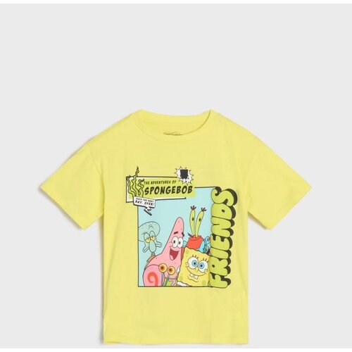 Sinsay Majica kratkih rukava SpongeBob Cijene