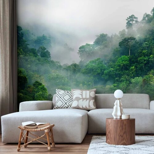  Foto tapeta - Morning Fog 250x175 Standard Cene