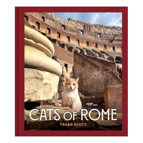  Cats of Rome Slike