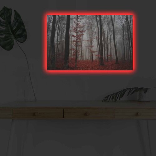 Wallity Zidna slika sa LED osvetljenjem 4570DHDACT-106, 45x70 cm Cijene