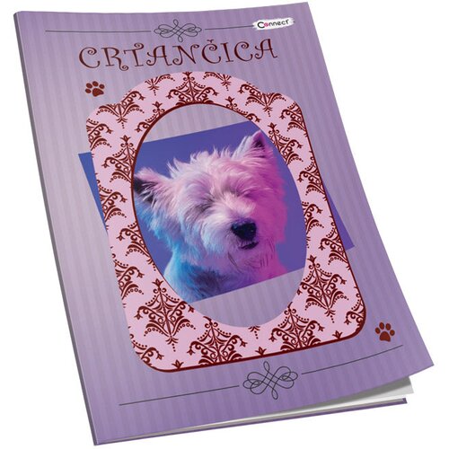  OBRAZAC &amp;Scaron;KOLSKI CRTANČICA ZA 1RAZRED SOFT PLUS CONNECT GIRL Slike
