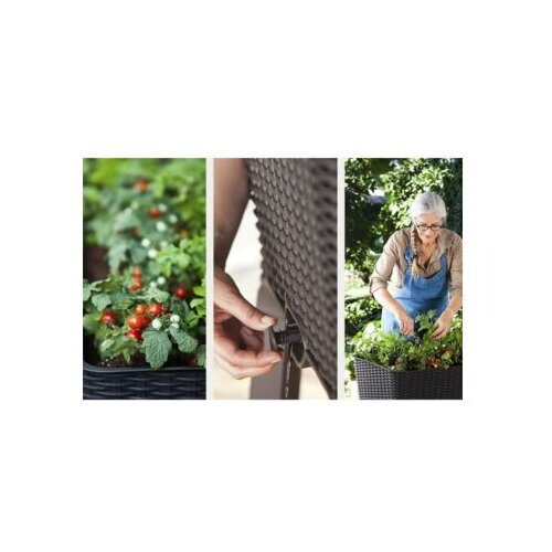 Keter Saksija sa nogarima Easy Grow 120L 114x49,3x75,7cm CU 230297 Slike