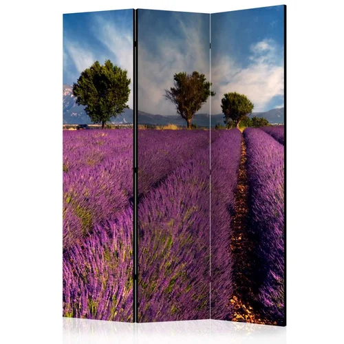  Paravan u 3 dijela - Lavender field in Provence France [Room Dividers] 135x172