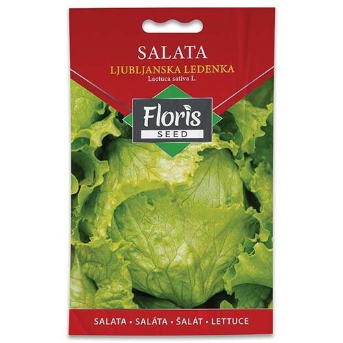 Floris salata ljubljanska ledenka 1.5g Slike