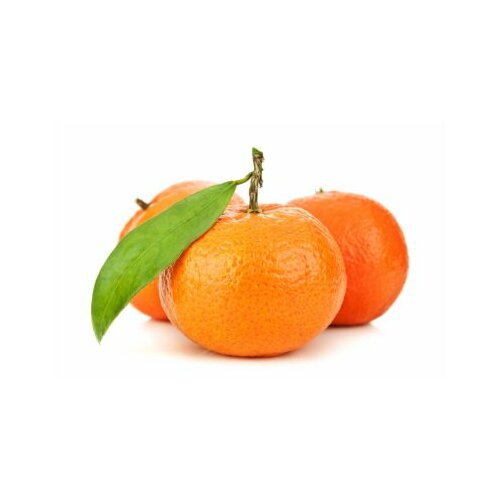  mandarina Cene