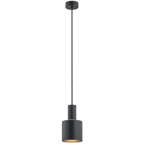  Argon 4219 - Luster na sajli SINES 1xE27/15W/230V prečnik 12 cm crn Cene