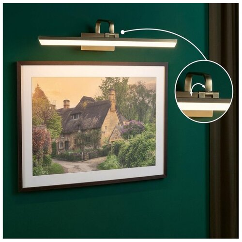 PAULMANN 95570 - LED/11W Lampa za slike RENAN 230V 60 cm mesing Cene