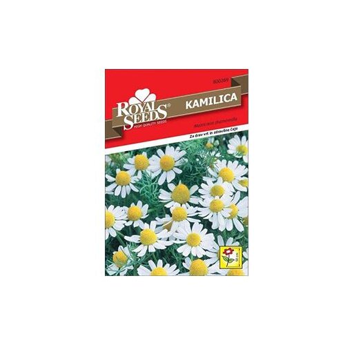  Kamilica Royal Seeds Cijene