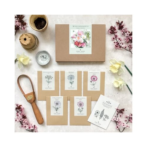 Jora Dahl Wild Bouquet "Cosmos Collection" set semen Cene