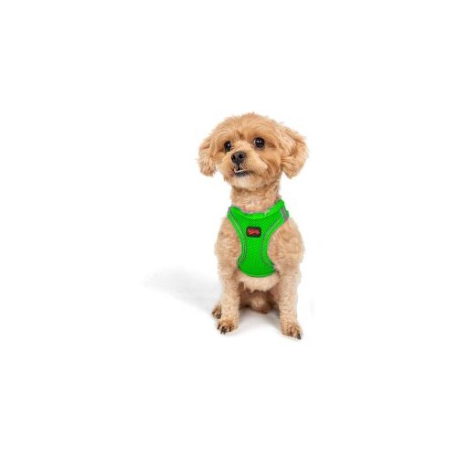 Paws &amp;amp; Whiskers am za pse air-mesh, zeleni Slike