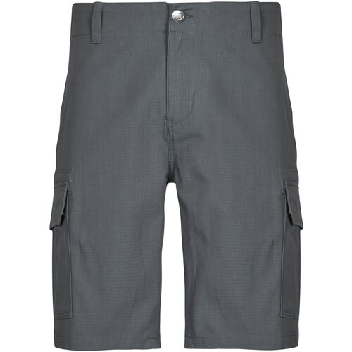 Dickies Kratke hlače &amp;amp; Bermuda MILLERVILLE SHORT Siva Slike