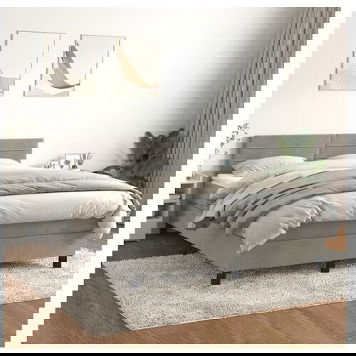  Box spring postelja z vzmetnico svetlo siva 140x200 cm žamet Cene
