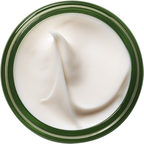 Origins A Perfect World Antioxidant Moisturizer with White Tea za&amp;scaron;čitna dnevna in nočna krema za obraz 50 ml za ženske Slike