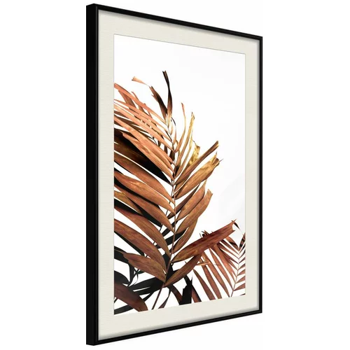  Poster - Copper Palm 40x60