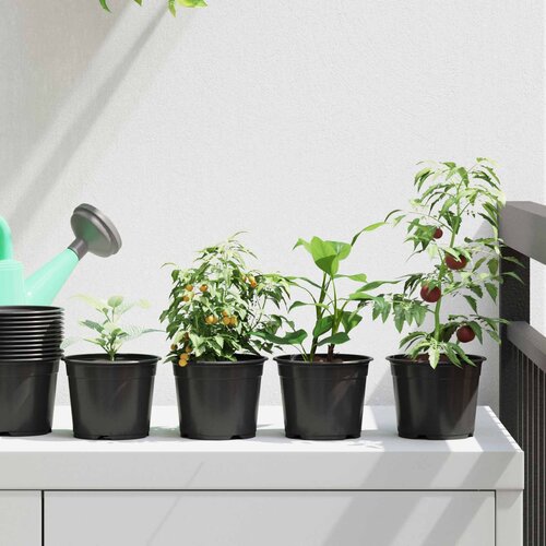  Okrugla saksija za cveće 100 pcs Crna &Oslash; 10 x 8 cm Plastika Cijene